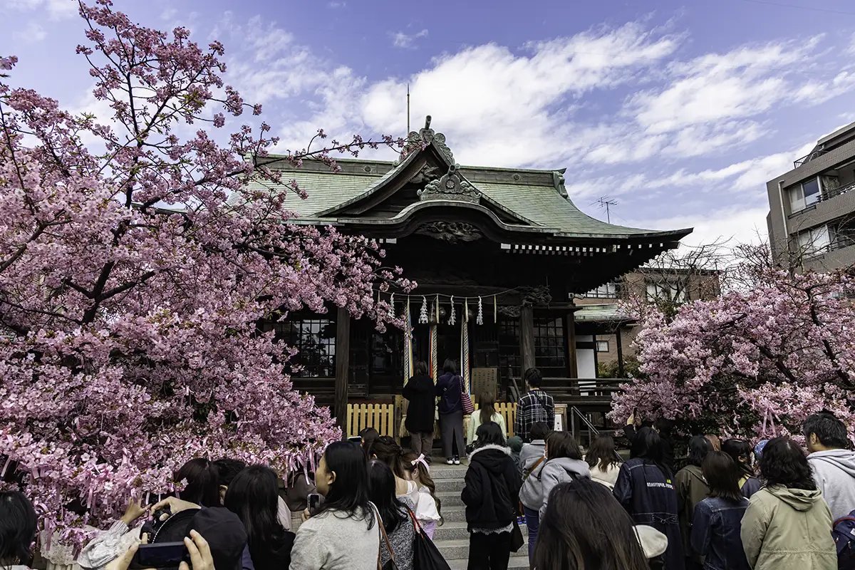 ⛩️ 천승 신사(치카츠 진자) 이미지 10